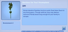 Bamboo For You Houseplant