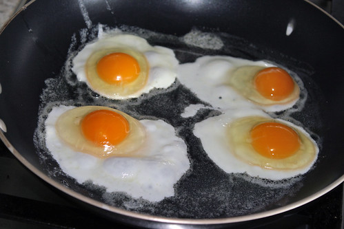 fried eggs 049