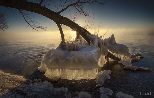 winter sun lake ontario cold detail reflection tree ice beach water sunrise cool holidays flickr waves branch colours underwater shadows shoreline filter freeze whitby todd february lakeontario amateur icicles hdr oldmanwinter lightrays conservationarea 2014 canon1740 adobelightroom colorefexpro beacheslandscapes canon6d bracketedshot iceskirt frigginfreezing moosepetersonwarmingfilter