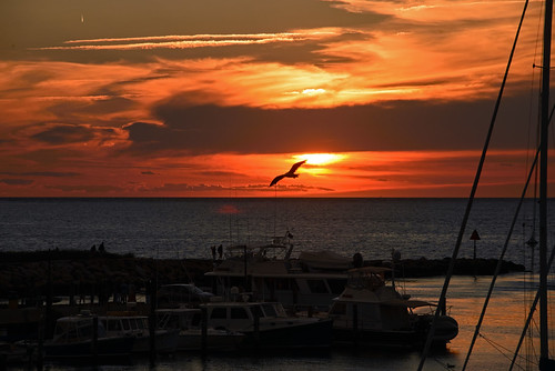 travel sunset bird tourism silhouette clouds landscape boats coast harbor twilight dusk massachusetts newengland coastline marthasvineyard sailboats menemsha waterscape harbord d600 nydavid1234