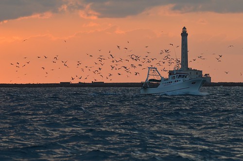 sunset sea lighthouse birds boat day fishermen cloudy trail gallipoli ringexcellence