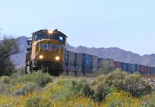 railroad arizona landscape spring scenery olympus unionpacific wildflowers railways railfan southernpacific southernarizona shawmut railfans gilaline combatrailfans