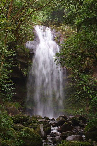 montagne boquete panama cascade randonnée ameriquecentrale lostwaterfalls sendero3cascadas