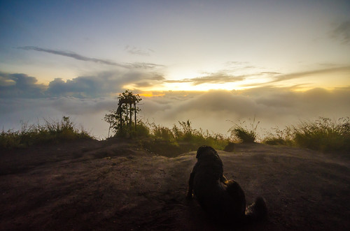 bali dog man sunrise indonesia volcano mount active batur baturiti
