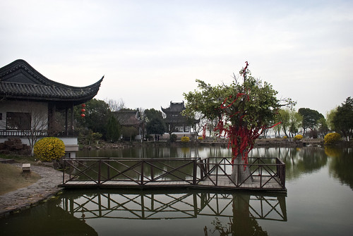 china park urban lake building tree architecture buildings asian temple town pond shrine asia village shanghai chinese charms eastasia tongli eastasian chinesearchitecture