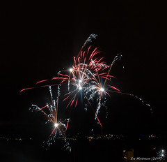 Happy New Year! Fireworks