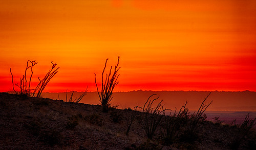 sunset red arizona cactus yellow mexico hdr yuma hotdoghill