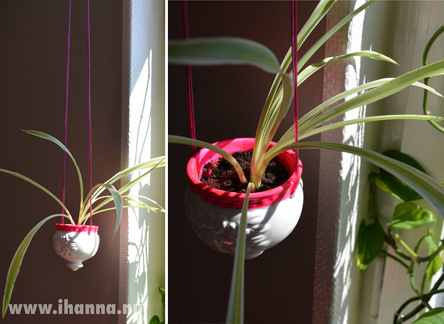 Tiny planter DIY Project