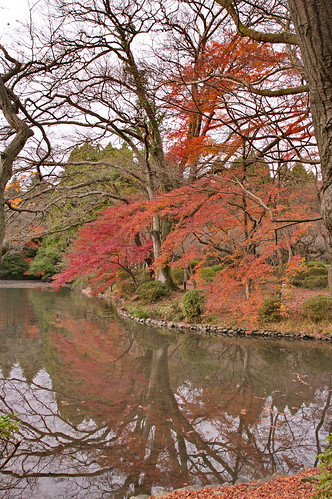 【写真】2012 紅葉 : 京都府立植物園/2019-04-01/IMGP8474