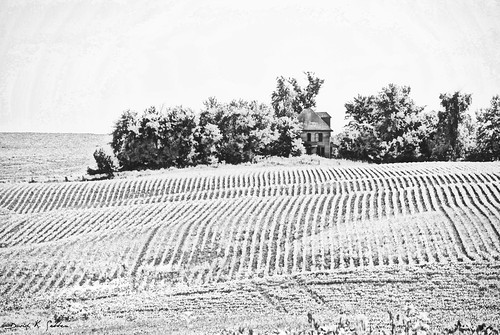 abandoned farmhouse rural alone iowa jackson hills rows crop rolling farmerless