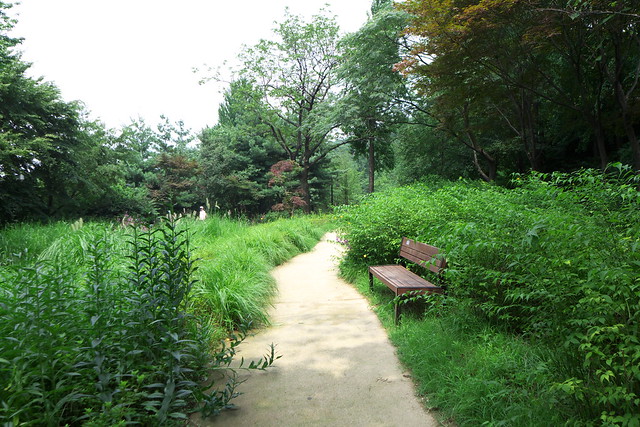 20 Namsan Botanical Garden
