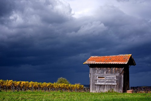 sky sun storm france soleil cabin ciel vineyards alsace vignes orage cabane