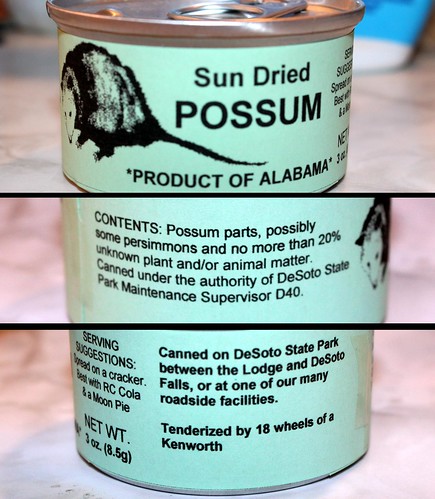 Sun Dried Possum