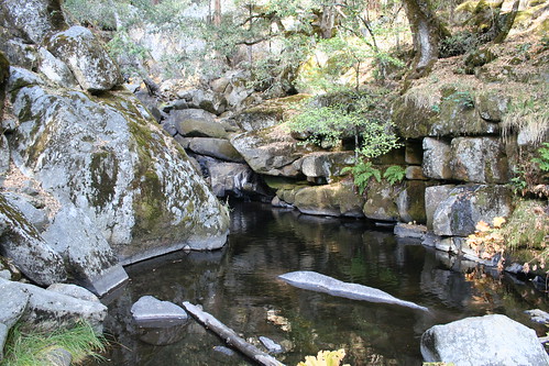 sierra nationalforest california creek landscape travel water autumn hiking fall rock