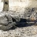 Soldat Militaru Stoica, agent de legătură, ucis pe la spate de satul Klokuznă !