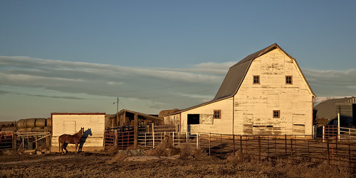 rural colorado farming barns co farms ranching rurallife ranches weldcounty canon24105 canon5dmark2 eddietk weldcountyco