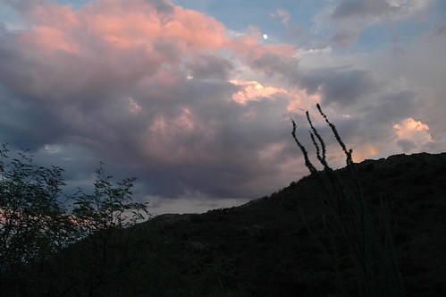 sunset arizona landscape scenic