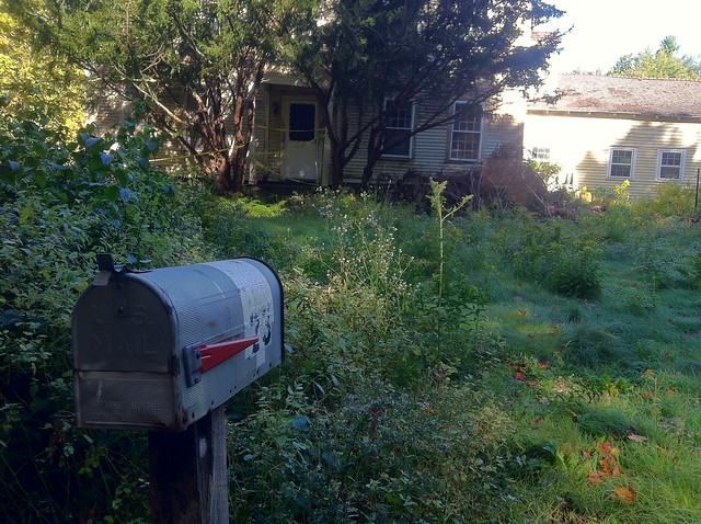 Abandoned mailbox