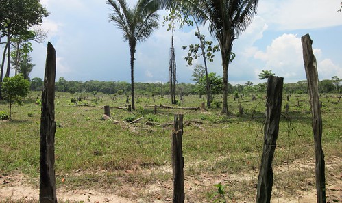 brazil landscape
