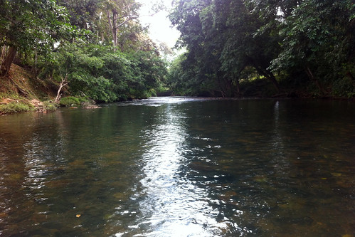 river landscape la conga panama laconga