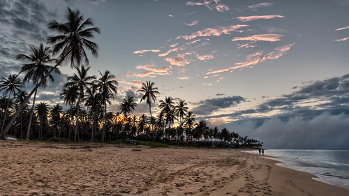trees sunset beach night clouds landscape lumix sand dominican republic cloudy dominicanrepublic palm panasonic punta sns cana hdr dmc bavaro lx7 laaltagracia panasoniclumixdmclx7