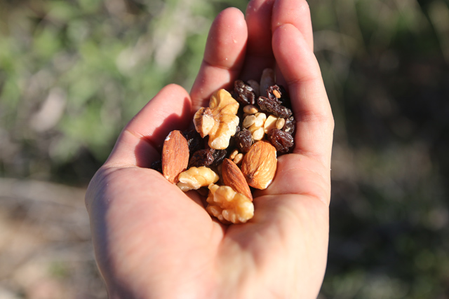 Trail mix consumed during a McDowell Mountain hiking trip
