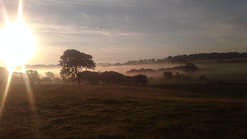 morning trees mist wales sunrise landscape august fields anglesey 2013