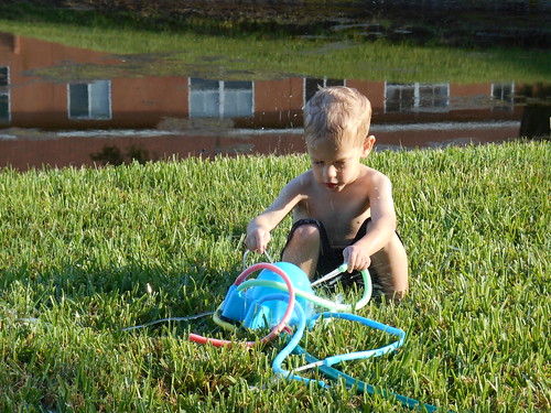 playing water backyard hey octopus paxton