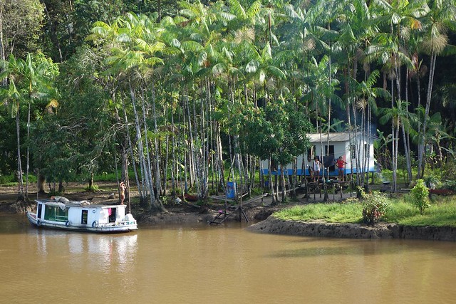 Margem do Rio Amazonas no Brasil