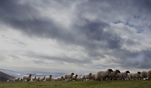 paisaje nubes cielos ovejas urquiola
