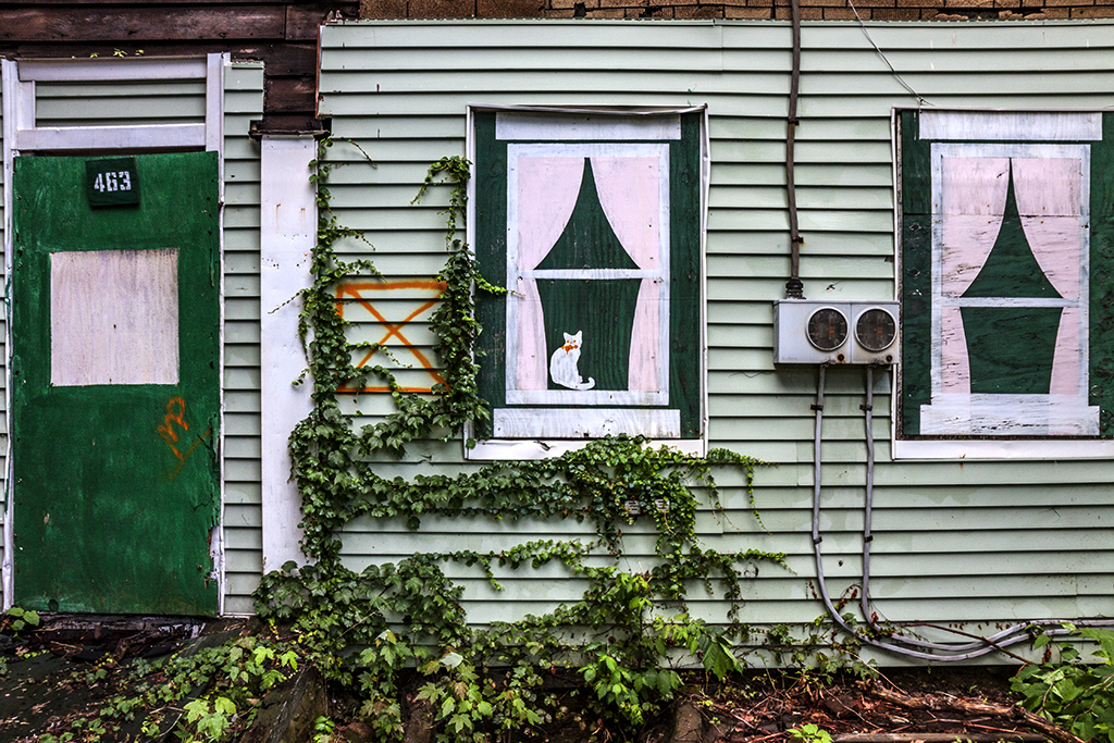 Painted-cat-on-abandoned-house--Trenton