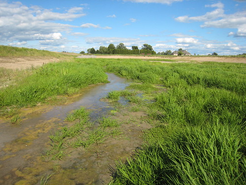 primarysuccession streamrestoration ecologicalsuccession selfformingstreams overwidechannel fluvialbiogeomorphic