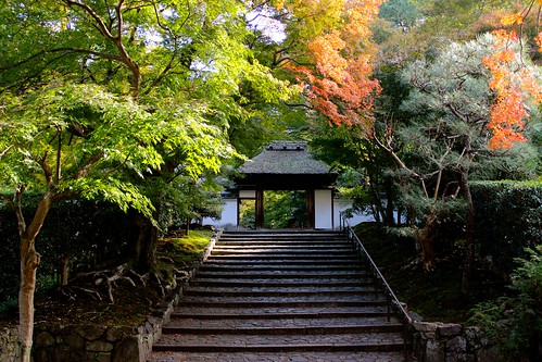 京都：安楽寺（2013.11.20）