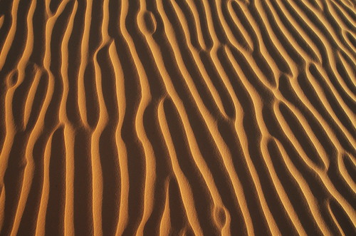 sun desert dunes middleeast abudhabi folds unitedarabicemirates d7000 middleeastsunset