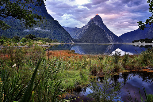 newzealand reflection sunrise landscape day cloudy harbour milfordsound mitrepeak fiordland mollybrown