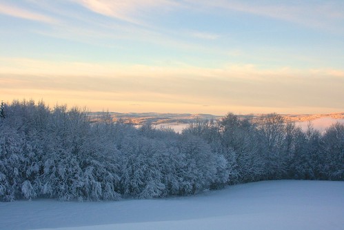 trees winter snow norway landscape norge europe scandinavia lier østlandet tranby buskerud