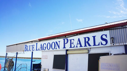 Into Blue Lagoon Pearls, Shark Bay