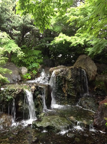 japanesegarden waterscape