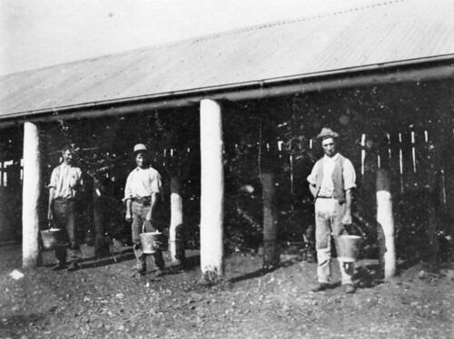 buildings milk farm queensland buckets 1915 farmworkers statelibraryofqueensland dairyfarms slq milkacrossthecommons