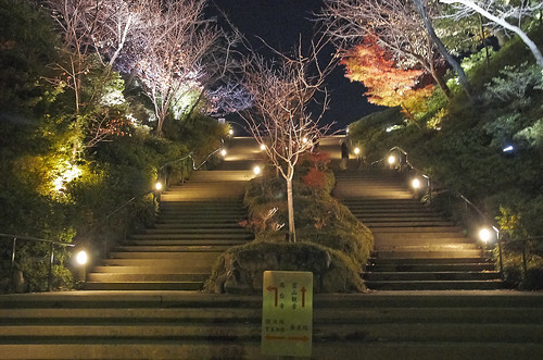 【写真】2013 紅葉 : 高台寺/2019-10-04/IMGP3899