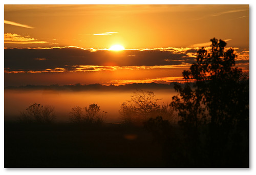 trees sky cloud mist silhouette sunrise zoom telephoto inspirations in ellisville