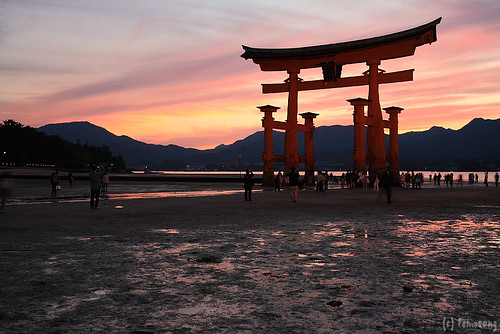 the torii gate
