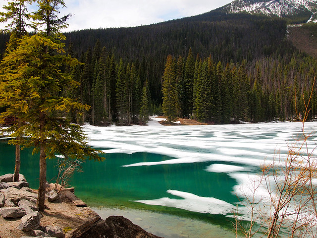 Emerald Lake in Yoho National Park, BC, Canada