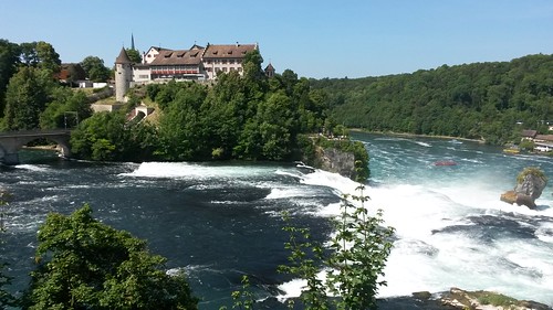 Rhine Falls in Switzerland