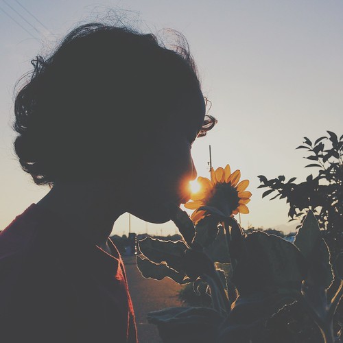 sunset summer sunshine sunflower sakura iphone vsco vscocam