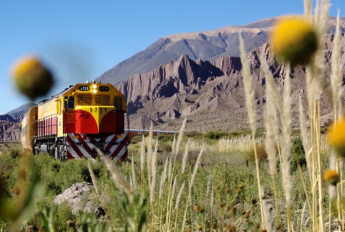 railroad travel argentina train tren railway