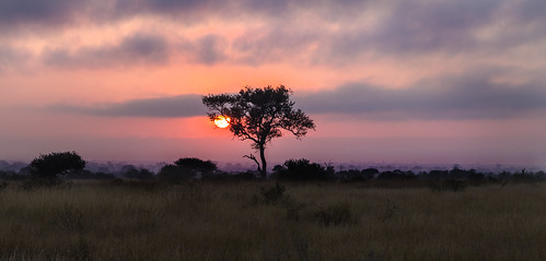 sunrise southafrica cloudy plains krugernationalpark mpumalanga krugerpark kruger satara africanplains sataracamp krugersunrise satarasunrise