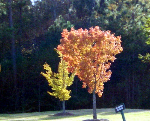 lumberton nc northcarolina robesoncounty northeastpark drraymondbpenningtonathleticcomplex citypark park autumn fall