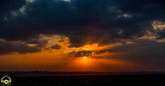 The African Sun!!  One of the most beautiful things on safari are the sunrise and sunsets. They are always dramatic and outstanding. The colors of sky are beautiful and you get a whole set of colors before, during and after the sunrise or sunset. I love t