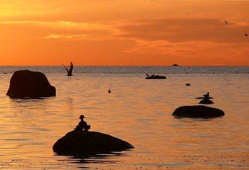 sunset sea sky birds stones vanagram